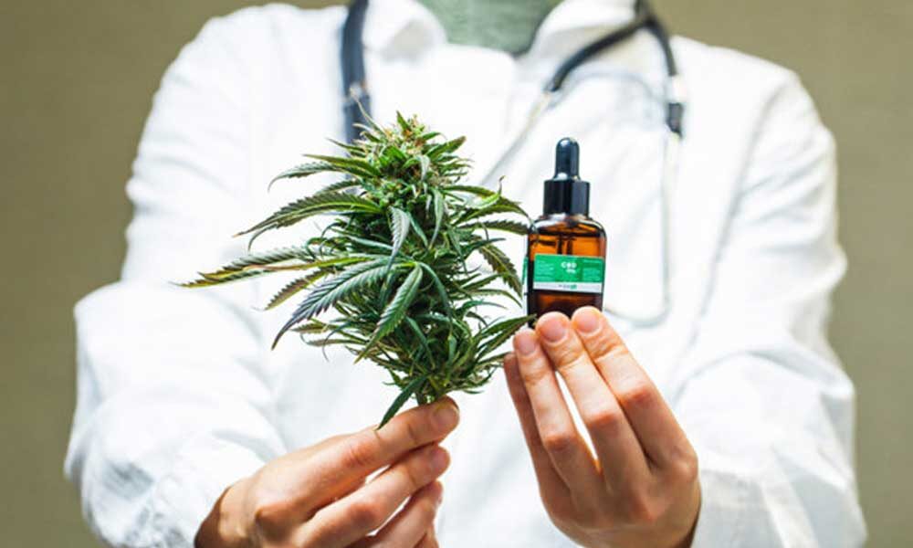 vivo-cannabis-medicinal-audiencia-publica